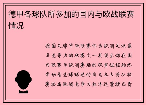 德甲各球队所参加的国内与欧战联赛情况
